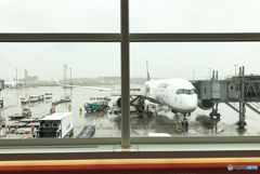 エアバスA350が　羽田に着いたら雨でした！