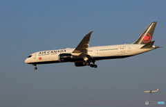 「令和」 Air Canada 787-9 C-FRTN Landing 