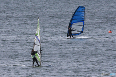 「すかい」ウイング  &  ウインドサーフィン　