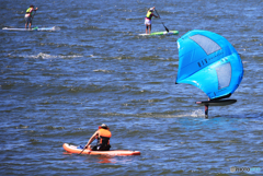 「スカイ」　おーい　私も行くよぉ〜
