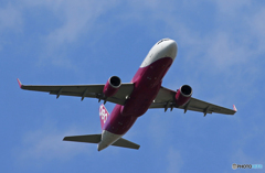 ☀「あおぞら」Peach A320-214 JA10VA  飛び立ち