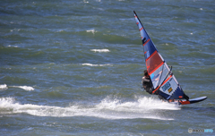 「蒼空」速すぎる ！　ウインドサーフィン