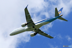 ☀「青い空」が一番 マンダリン航空 ERJ-190 飛行