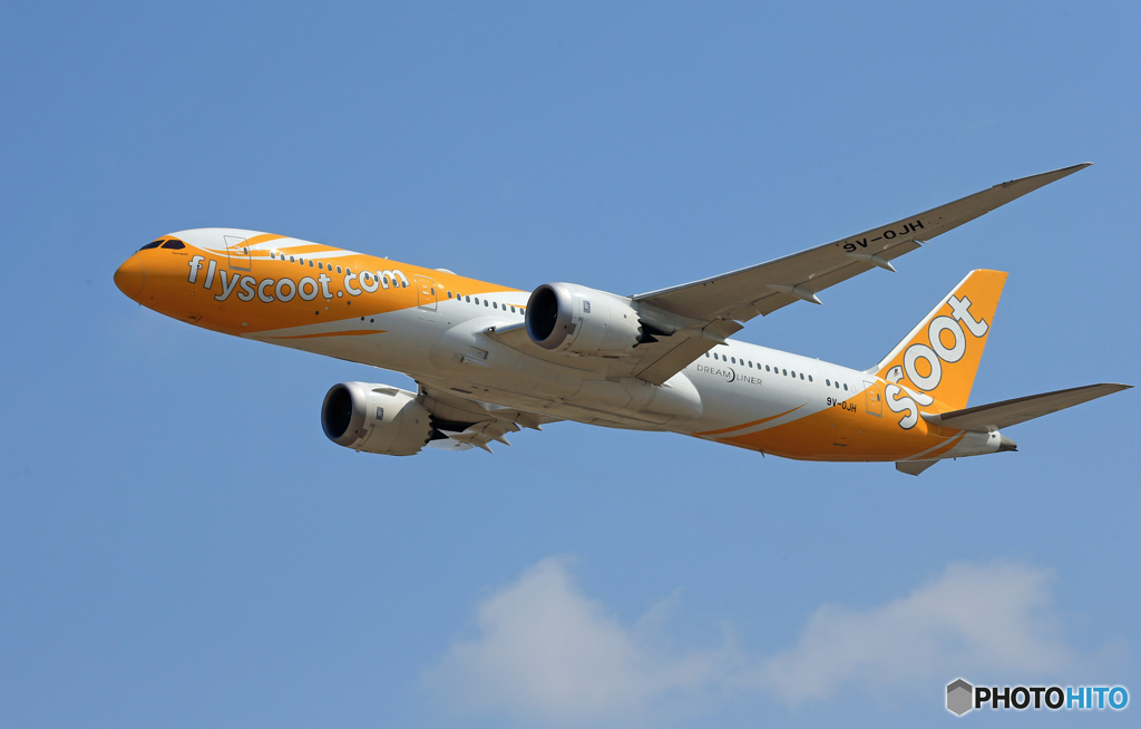 「あおいそら」 scoot 787-9 9V-OJH