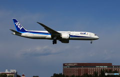 ☀「あおぞら」ANA 787-9 JA922A 着地前
