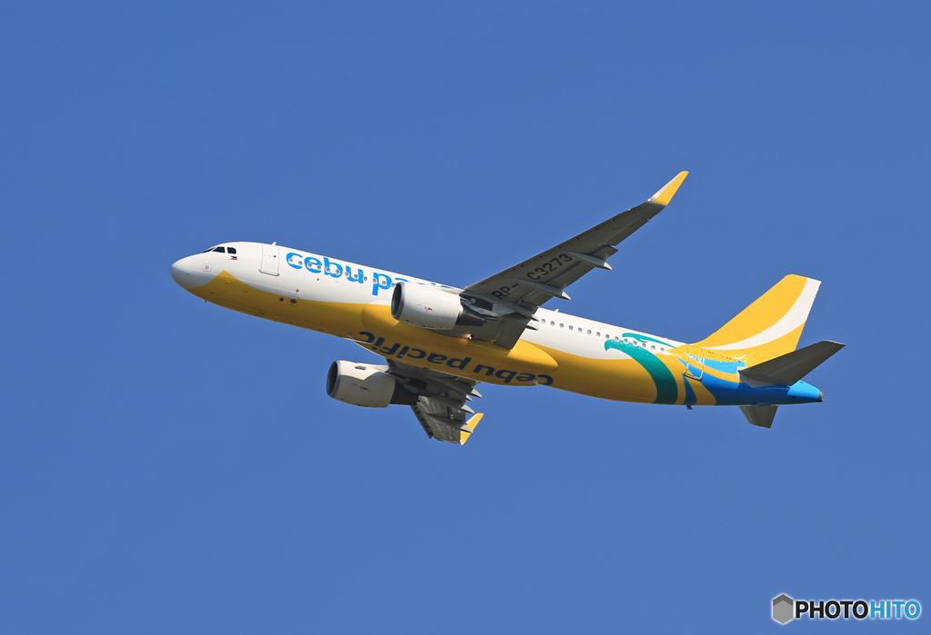 「そらー」 CEBU A320-214 RP-C3273 飛行