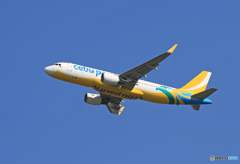 「そらー」 CEBU A320-214 RP-C3273 飛行