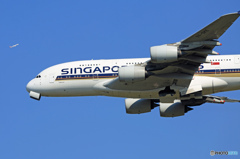 「空色」 Singapore A380-841 9V-SKE+ 出発です