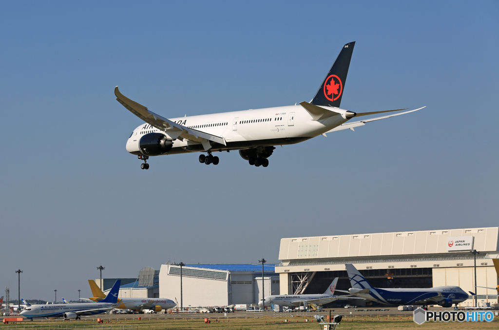 「青が好き」 AIR CANADA 787-9 C-FRSR 着陸します