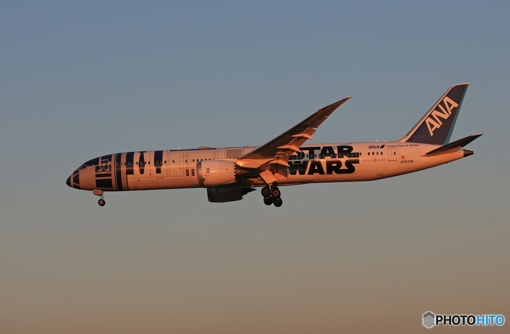  「青が大好き」 STAR WARS 787-8 JA873A  Landing