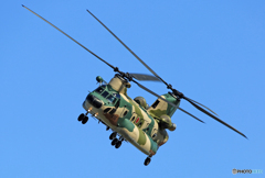 「青色が好き」  CH-47JA へり