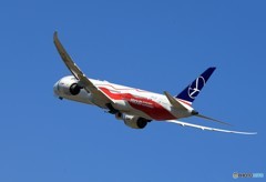 「ブルー」 LOTポーランド特別塗装787-9 出発です
