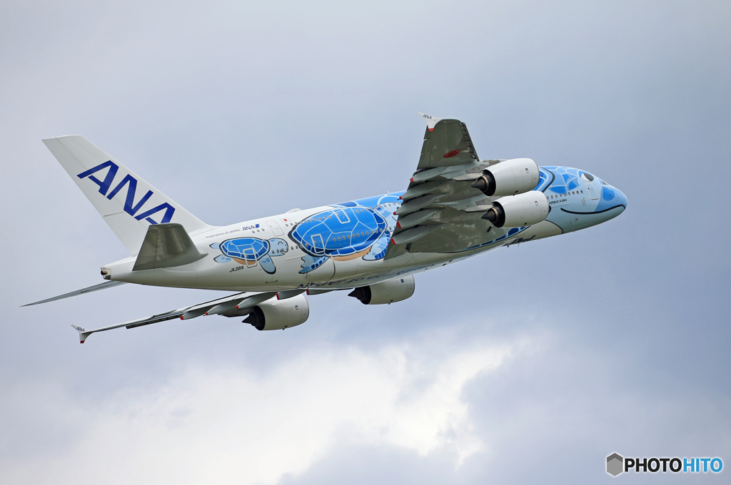 「スカイ」Flying Honu A380-841 離陸です
