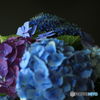 「Blue」kiribana