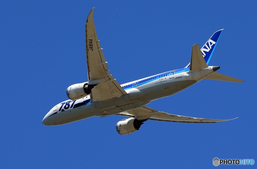 ☀「青い空」が一番 ANA 787-8 JA814A 