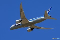 ☀「青い空」が一番 ANA 787-8 JA814A 