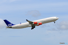 「青い空」が一番 SAS A340-313 OY-KBC 離陸