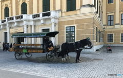 オーストリア（７３）シェーンブルン宮殿前の・ 乗り物