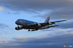 「青」☆Flying Honu A380-841 着陸です