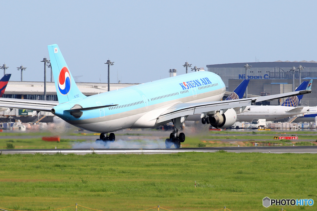 「SKY」 Korean A330-300 HL7550 着陸