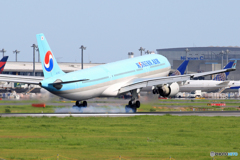 「SKY」 Korean A330-300 HL7550 着陸