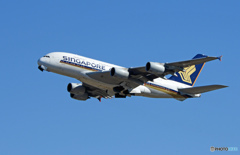 「すかい」 Singapore A380-841 9V-SKK 飛行