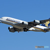 「すかい」 Singapore A380-841 9V-SKK 飛行