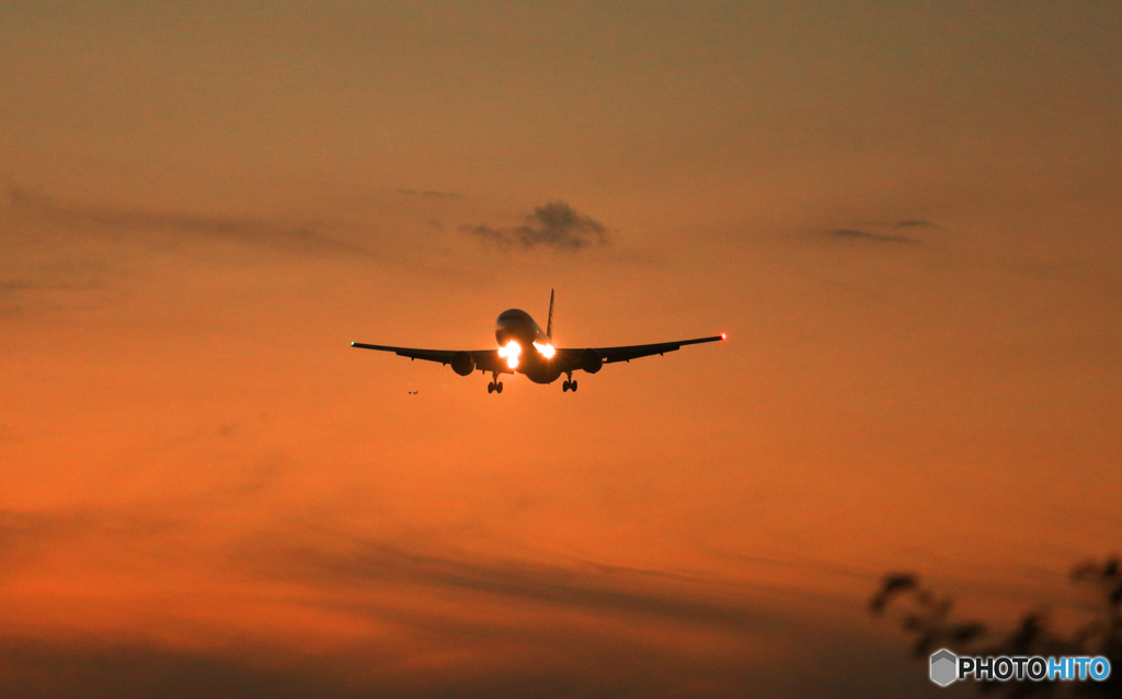 「青が好き」 ANA Cargo 767  Landing