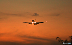 「青が好き」 ANA Cargo 767  Landing