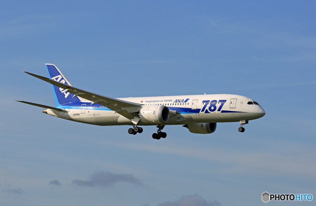 「青空」 ANA 787-8 JA808A 着陸