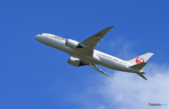「すかい」 JAL 787-8 JA845J Takeoff 