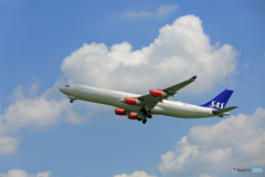 「青い空」が一番 SAS A340-313 LN-RKG離陸