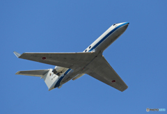 「青」☆　☮　ガルフストリーム　U-4　☮