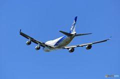 「そらー」 NCA 747-400 JA06KZ 飛行