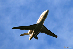 「真青の空」 プライベート機Dassault Falcon 900EX飛ぶ