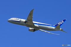 ☀「あおぞら」ANA 787-9 JA871A  飛んだ
