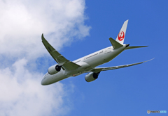 「良い空～」 JAL 787-9 JA866J
