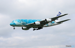 「☁」 ANA A380-841 JA382A 着陸