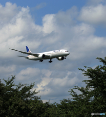 「良い空～」UNITED 787-9 N26970 到着です