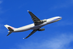 「そらー」 China A330-200 B-18351 飛ぶ