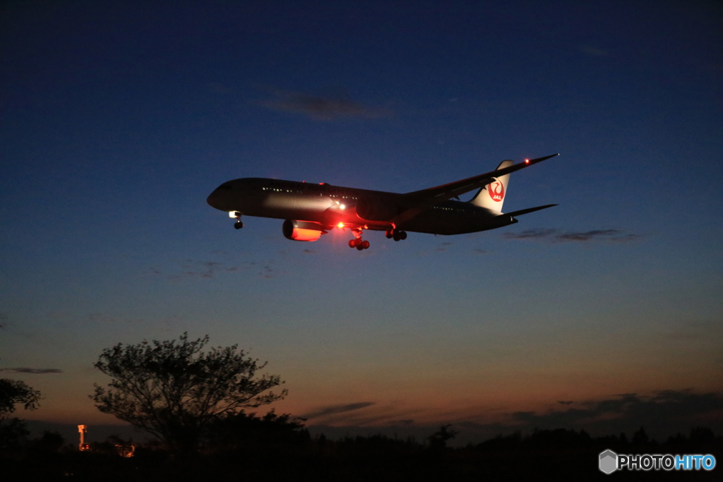 「青が大好き」 シルエット アンコリ787 着地前