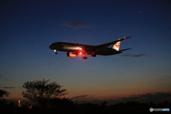 「青が大好き」 シルエット アンコリ787 着地前