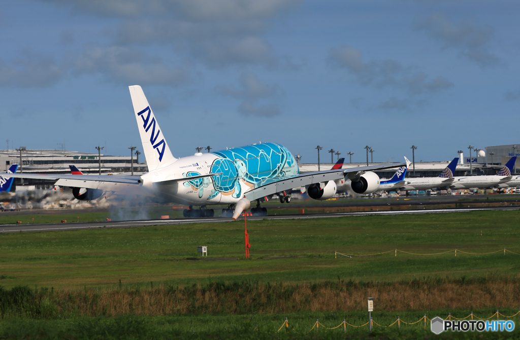  「晴れ」 ANA A380-841 JA382A 到着です