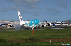  「晴れ」 ANA A380-841 JA382A 到着です