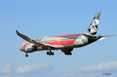 「蒼空」 Etihad F-1 787-9 A6-BLV 到着