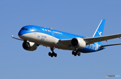 ☀「あおぞら」アモイ航空 特別塗装機 787-9 B-1356