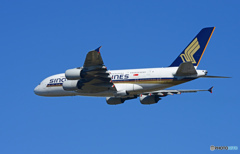 「SKY」 Singapore A380-841 9V-SKK Takeoff 