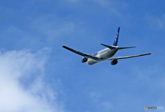 「くもり」ANA Cargo 767-381コロナ禍で大活躍です。