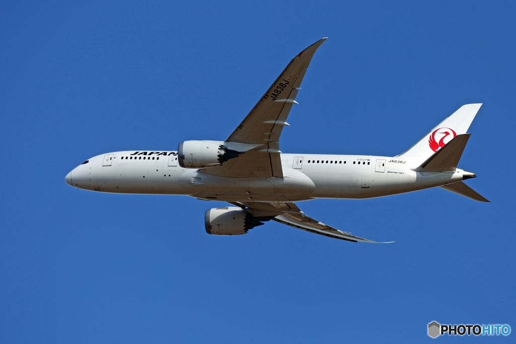 「青色が好き」 JAL 787-8 JA838J 離陸