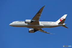 「青色が好き」 JAL 787-8 JA838J 離陸